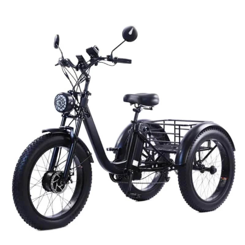 Elektrische dikke fiets 24-inch driewielige elektrische fiets Krachtige sneeuwberg elektrische fiets Volwassen heren Dames