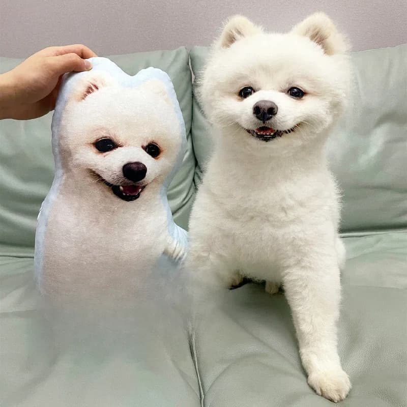 Gepersonaliseerde foto DIY huisdierkussen knuffeldier kussen op maat gemaakt honden- kattenkussen met foto Moederdag cadeau verlies gedenkgeschenk