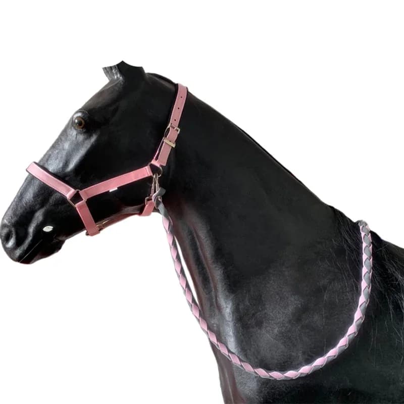 Paard Harnas Hoofdstel Kraan Met Anti-Slijtage Pad Styreen-Butadieen Anti-Slijtage Pad Lood Paard Touw