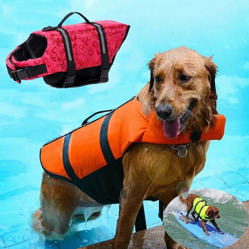 Seaside Big Dog Swimming Reddingsvest Vest voor middelgrote honden Zomerveiligheid Dierenkleding Golden Retriever Shepherd Pug Badmode