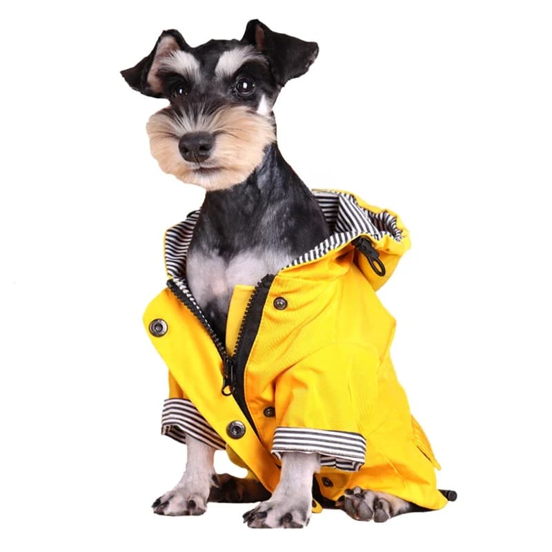 Grote hondenkleding Waterdichte hondenregenjas Winddichte huisdierjas Labrador Franse Bulldogjas Winter Warm voor alle hondenrassen