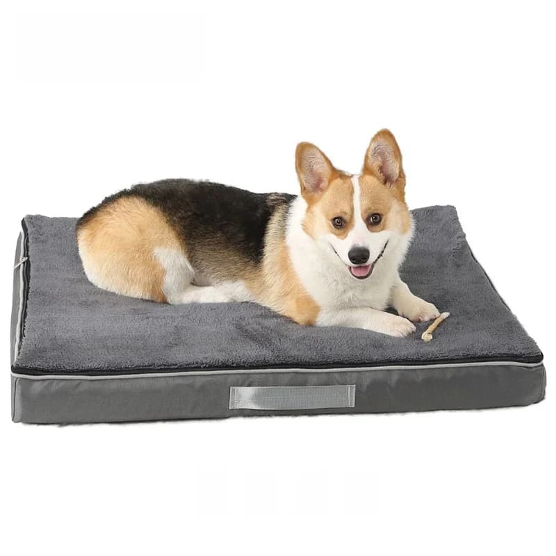Benepaw Memory Foam Hond Bed Voor Kleine Medium Grote Honden Waterdichte Antislip Puppy Krat Pad Wasbare Huisdier Mat Verwijderbare Cover