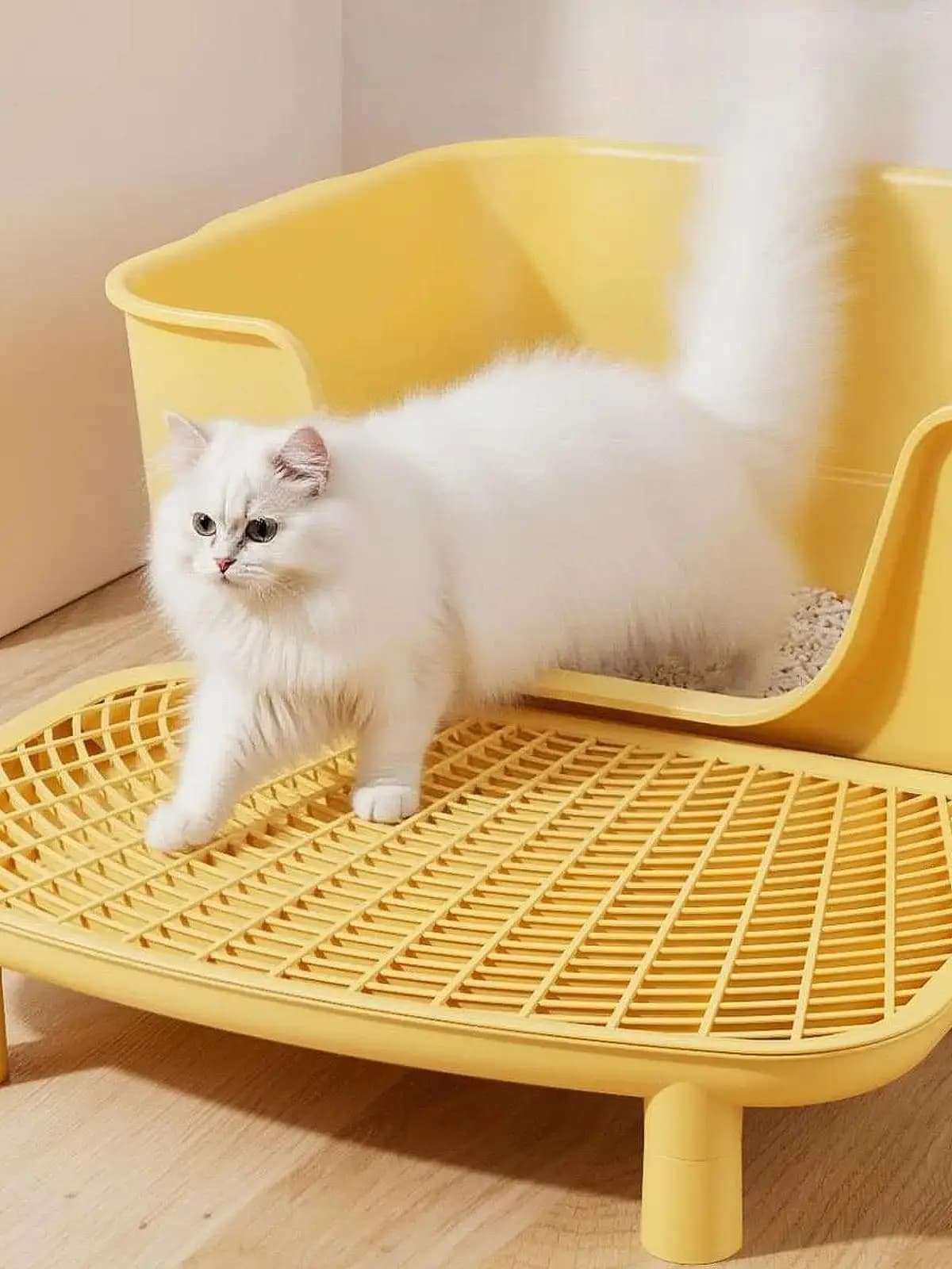 Kattenbak Oprit Plastic Kitten Kattenbak Treeplank Anti-dragende Kattenbakvulling Pad voor Kat Kitten Huisdier Schoonmaakproducten