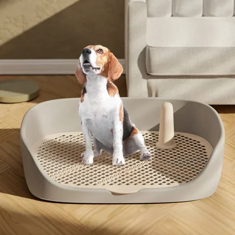 Grote hondentoilet trainingstoilet voor honden, draagbaar hondentoilet, puppy pad houder, binnen hondentoilet
