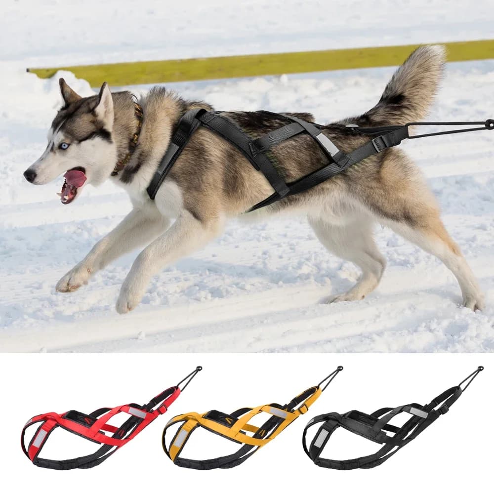 Waterdichte Hondenslee Harnas Reflecterende Slee Voor Huisdieren Skijoring Harnas Grote Honden Gewicht Trekken Vest Voor Huisdier Training