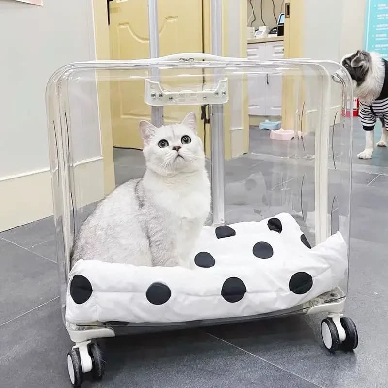 Lichtgewicht Transparante Huisdier Trolley Case, Beauty Case, Professionele Kat Wandelwagen met Wielen, Uitbreidbare Huisdieren Accessoires