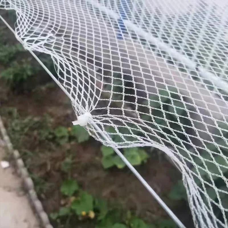 0,5 mm gaas anti-vogelnet: precisiebescherming voor wijnstokken