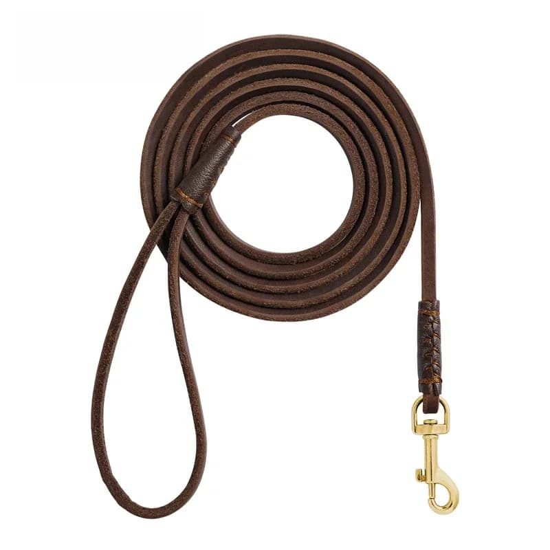 Benepaw Stevige Echt Lederen Hondenriem Lichtgewicht Comfortabele Handvat Zachte Slanke Pet Lead Voor Puppies Katten Minder dan 10Kg/22lbs