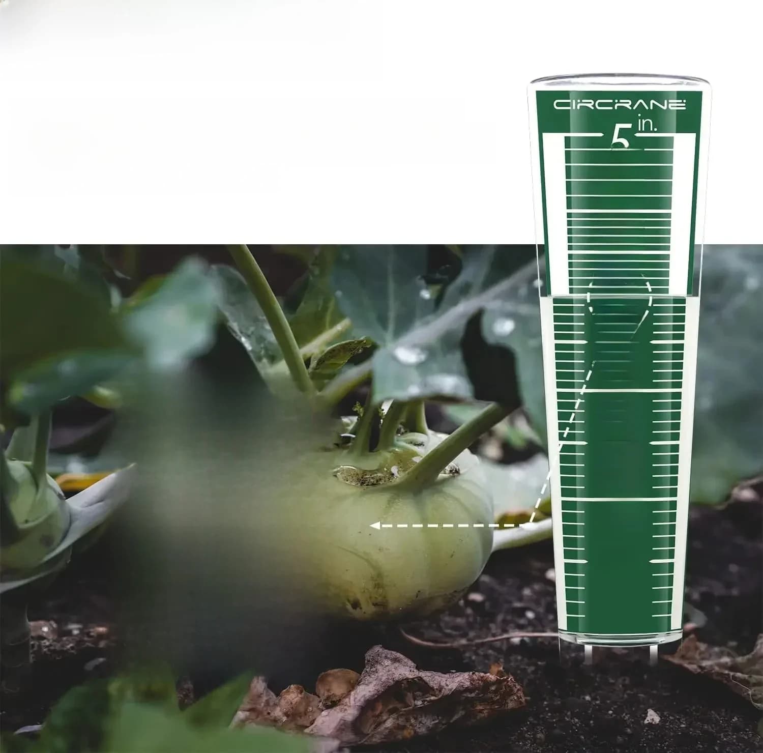 5 Inch Capaciteit Regen Gauge Outdoor Gemakkelijk Te Lezen Regenmeter Met Vergrote Schaal En Aantallen Voor Tuin Patio Tuin Veld Gazon