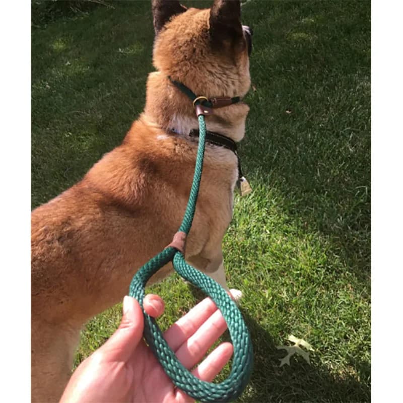 Hondenriem Slip Rope Lead Leash Sterke Heavy Duty Gevlochten Touw Geen Pull Training Lead Riemen Voor Medium Grote Honden 5 Ft