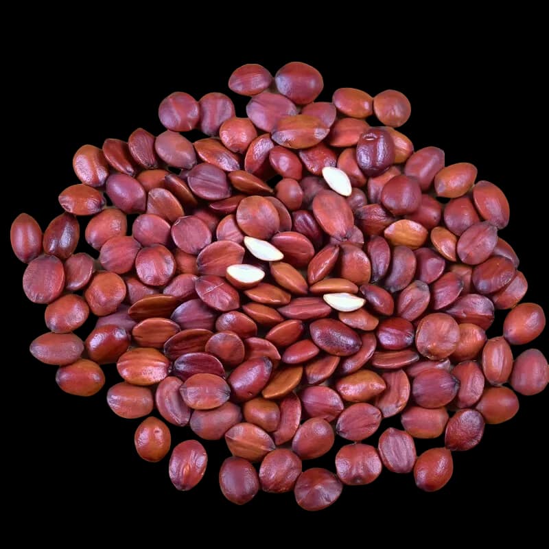 Nieuwe Chinese Specialiteiten Wilde Sperma Ziziphi Spinosae Voor Zelfgemaakte Kalmeren de Zenuwen DIY Zakje Slaap Goed Kussen Vulmateriaal