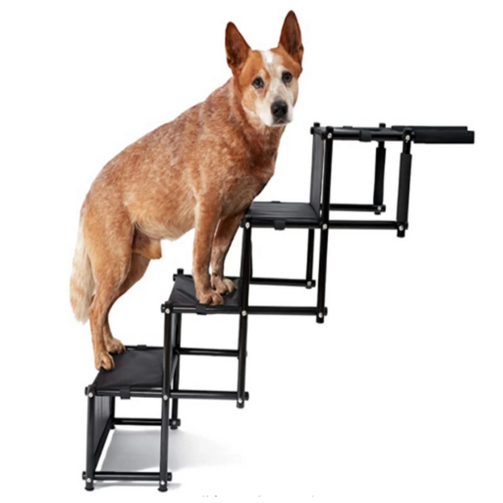 Hondentrappen tot 75 kg, geschikt voor alle voertuigen, opvouwbare hondentrappen, hondenhellingen voor kleine en grote honden, opvouwbare helling