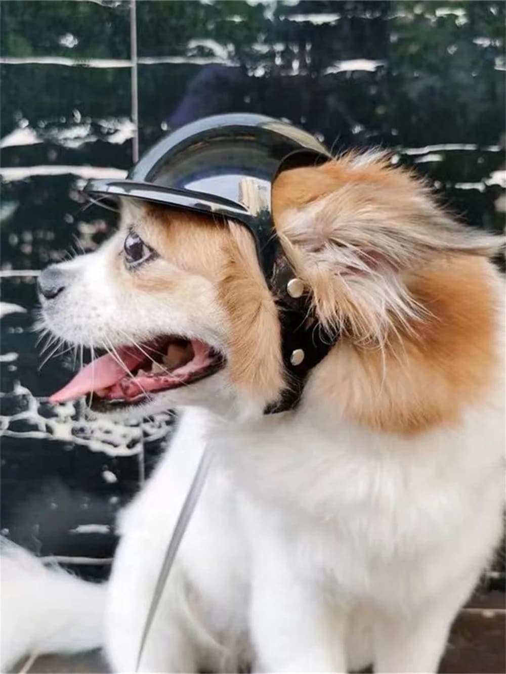 2 stuks hond veiligheidshelm en bamboe libel/bril huisdieraccessoires verstelbare hondenhelmen voor kleine middelgrote honden buiten rijden