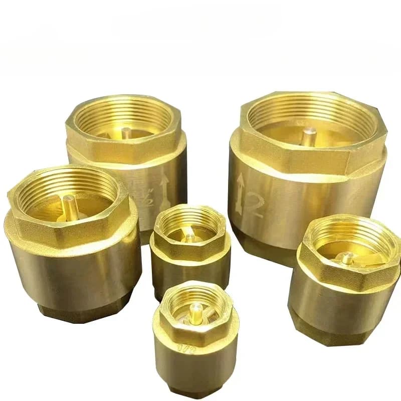 Bronzen terugslagklepveer verticaal type NPT binnendraad terugslagklep 1/2" 3/4" 1" 1-1/2" 1-3/4" 2" DN15-DN50 voor waterleidingen