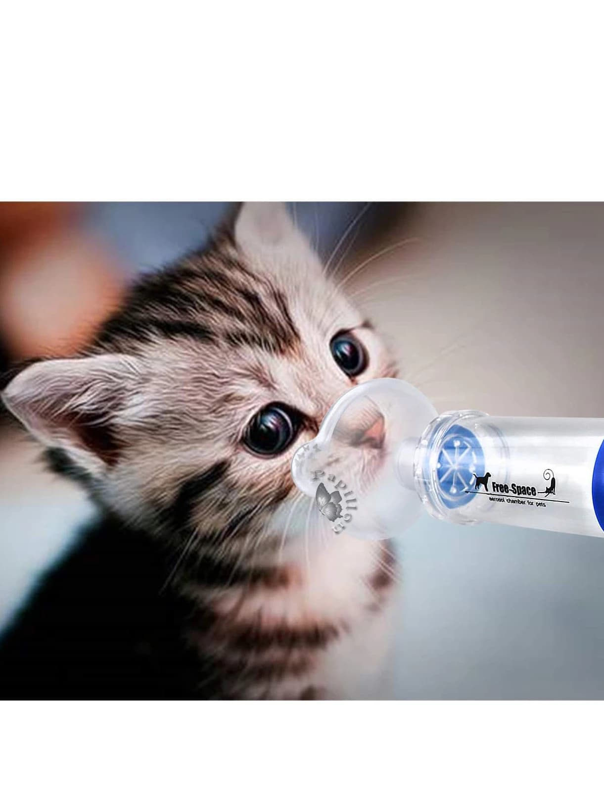 Hond Kat Inhalator Spacer Katachtige/Cannie Aerosol Kamer Inhalator Voor Volwassenen Kinderen Katten/Honden Komen Met 3 Size masker En Instructie