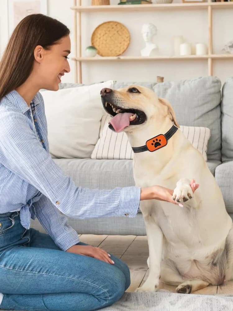 Anti-blaffend apparaat voor honden Elektrische honden Trainingshalsband Halsband USB Oplaadbaar Stop met blaffen Trillingen Anti-blafapparaten