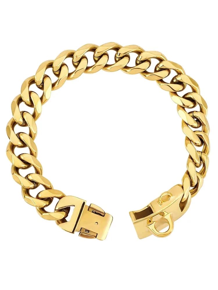 Roestvrij staal 14MM gouden hondenketting halsband kauwbestendige huisdier kettingen halsbanden voor grote honden klasubo dh dh szadda