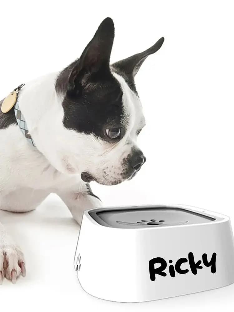 Honden drinkbak op maat, anti-lek, zwevend, voorkomt natte bek, katten slow feeder, anti-overloop waterdispenser, grote capaciteit