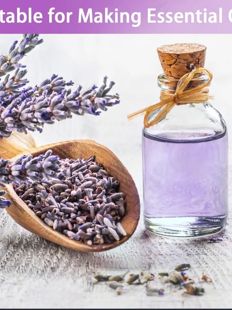 Premium natuurlijke aromatische lavendel gedroogde bloemen voor kussenvulling kaars/zeep/wierook maken bruiloft woondecoratie
