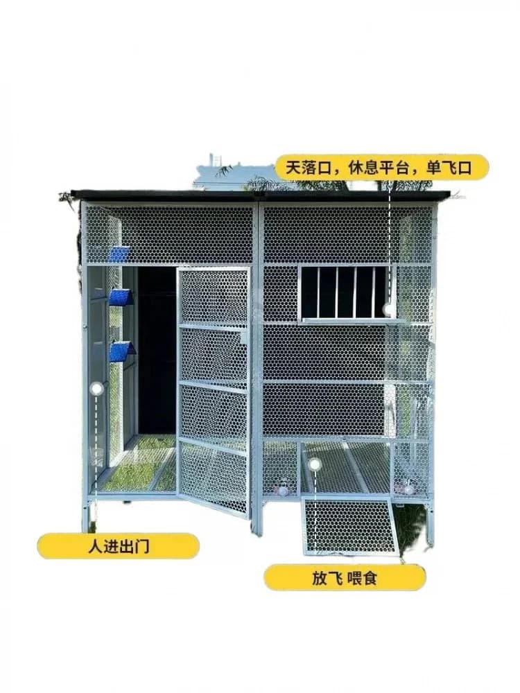 【Bestseller】Schilderproces Roestvrij Montage Huis Schuur Duif Buiten Grote Vogel Kippenhok Pauw