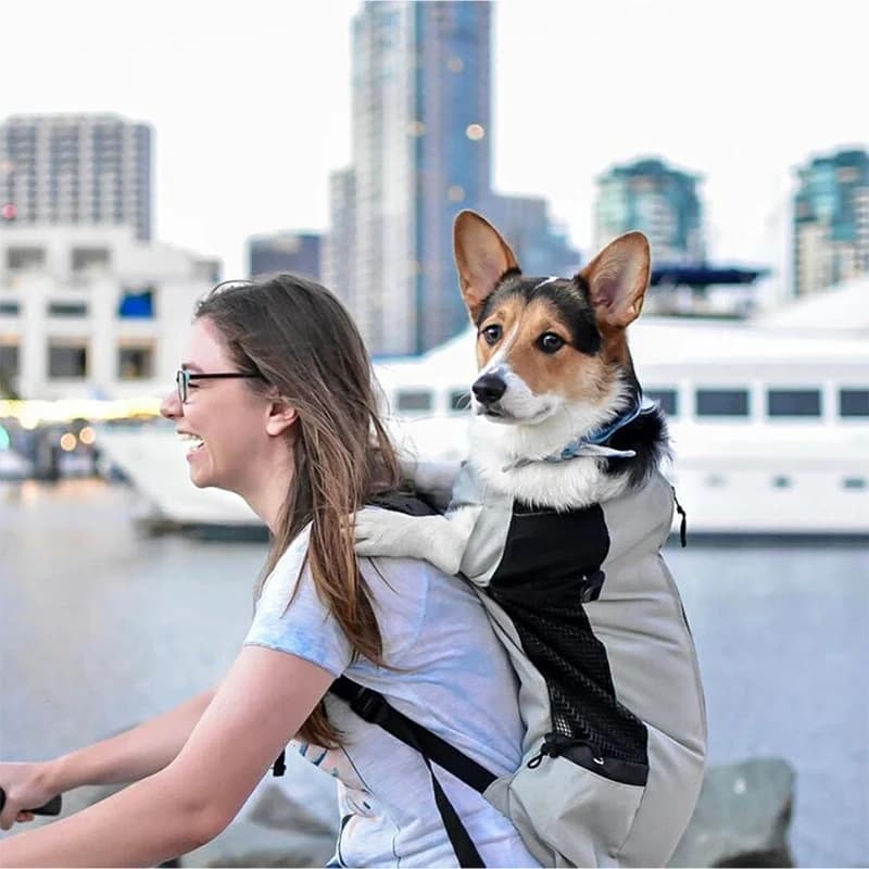 Sterke Nylon Dog Carrier Rugzak Voor Kleine Middelgrote Honden Hoge Kwaliteit Ademend Fietsen Rugzak Voor Outdoor Reizen Dierbenodigdheden