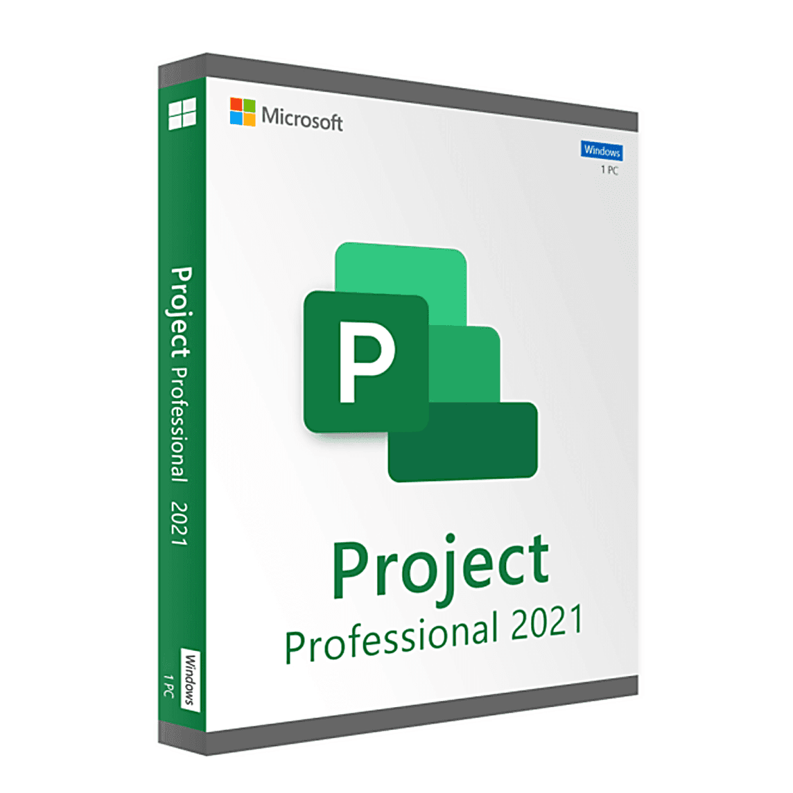 Project 2021 Professional (PC)