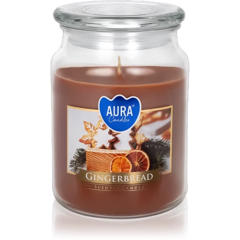 BISPOL Premium Line Gingebread geurkaars 500 g
