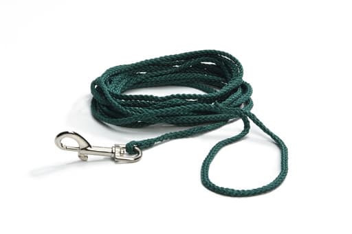 Beeztees Beeztees Nylon Zoeklijn Blister 10 meter