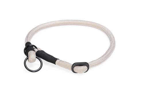 Beeztees Beeztees Premium Parinca Hondenhalsband Rond Nylon Grijs 60x1,2cm