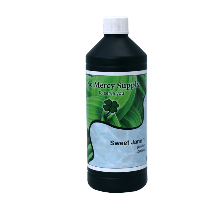 No Mercy Supply No Mercy Supply | Sweet Jane 1