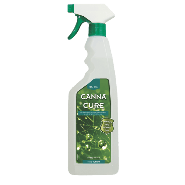 Canna Canna Cannacure