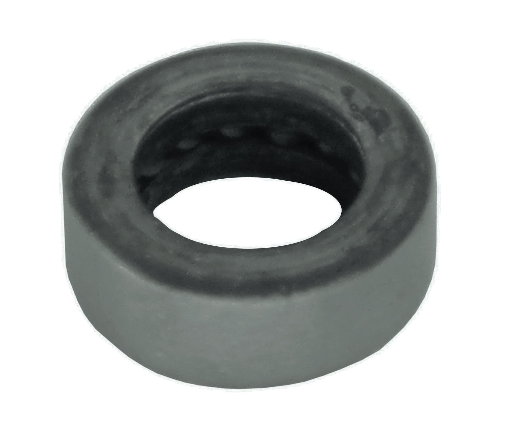 Zwarte rvs Ring 16x6mm voor paumelle 100x88x3.5/6mm zwart