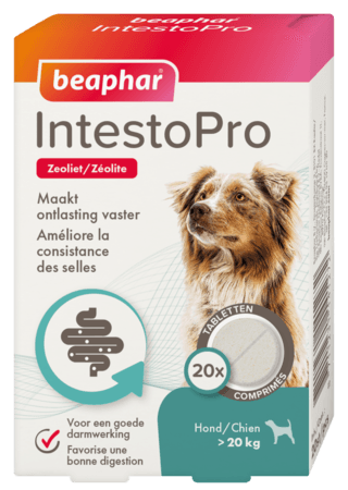 Beaphar IntestoPro tabletten hond vanaf 20KG