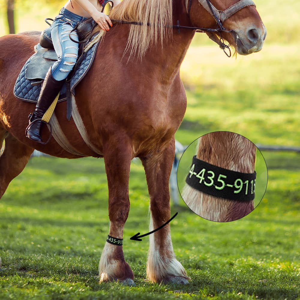 Gepersonaliseerde multi-color paarden enkelband met geborduurd nummer en tekst Vakantie cadeau voor paardenliefhebbers