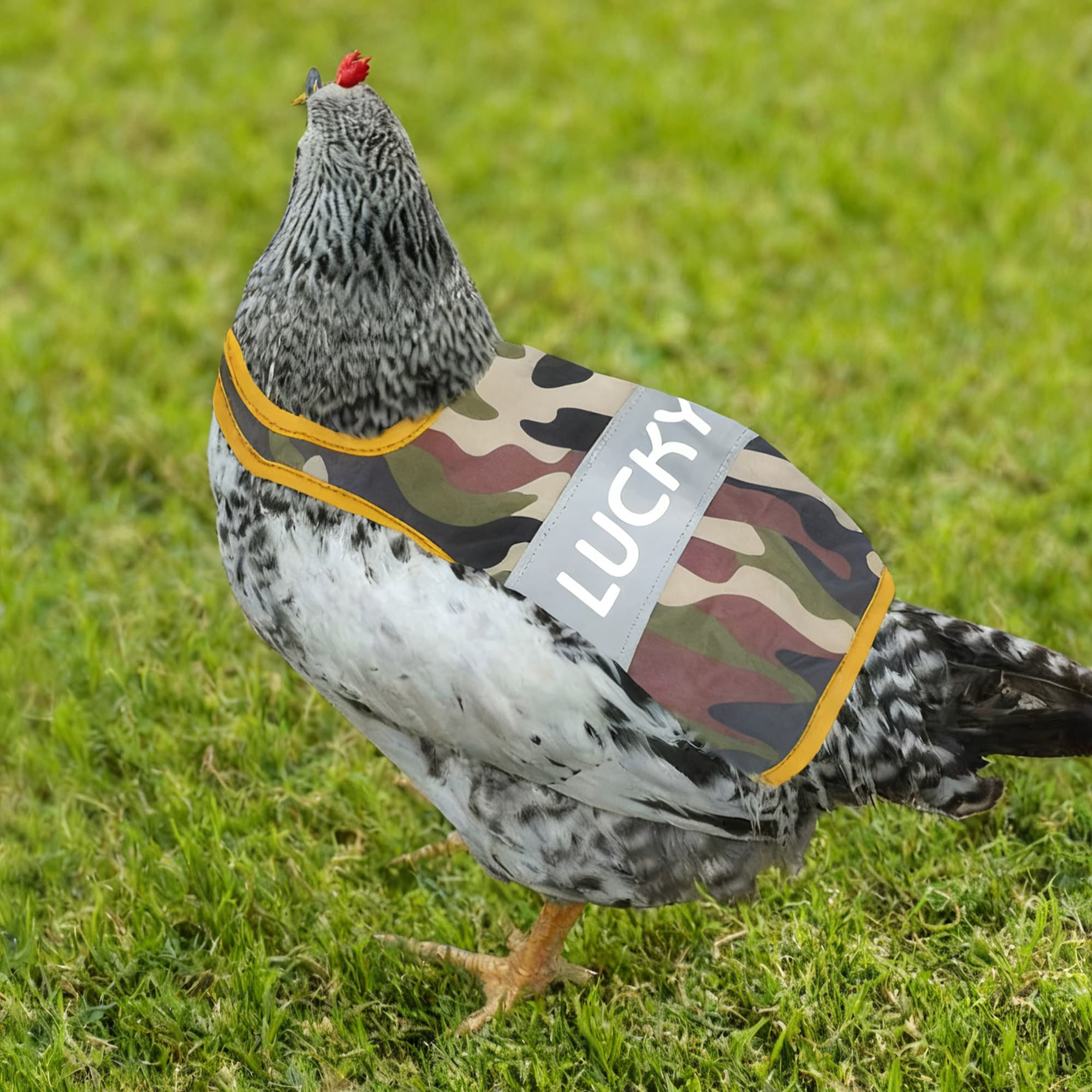 Gepersonaliseerd Multicolor Nacht Reflecterend Ontwerp Ademende Kip Zadelbeschermer met Naam Huisdier Feest Cadeau voor Boer Huisdier Kippeneigenaren