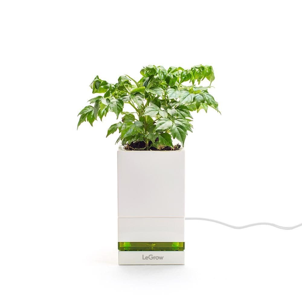 LeGrow LeGrow |Quick Charging Pot| 1-Pot / Type G (UK)