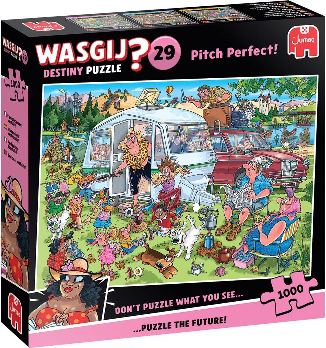 Wasgij Destiny 29 - Op de camping! - Pitch Perfect! - 1000 stukjes puzzel - Legpuzzel