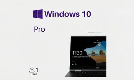 Windows licentie naar keuze: Windows 11 Entrepriseo voor 1 apparaat