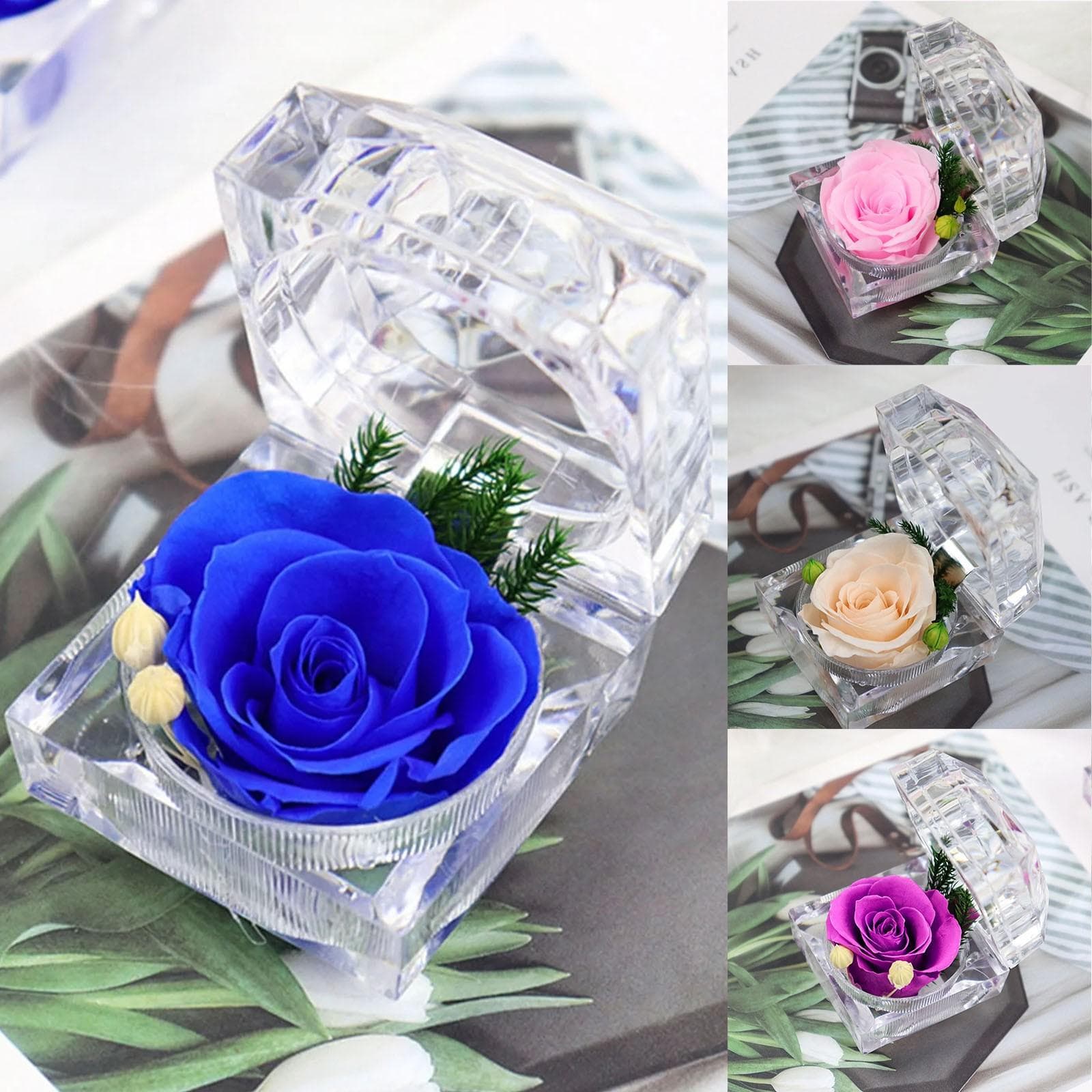 Geconserveerde bloem echte roos, eeuwige onsterfelijke bloemen, beste cadeaus voor Valentijnsdag, vrouwen, Moederdag, Valentijnsdag,