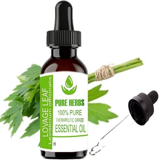 Pure Kruiden Lavas Blad (Maggikruid) Pure & Natural etherische olie van therapeutische kwaliteit, plastic verpakking met druppelaar.
