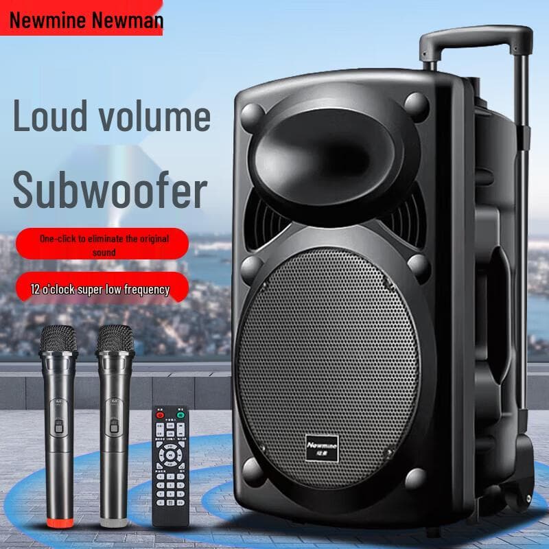 Newman B12 12-inch Draagbare Bluetooth Karaoke Speaker voor Buiten met Dubbele Microfoons CN-stekker (adapter meegeleverd)