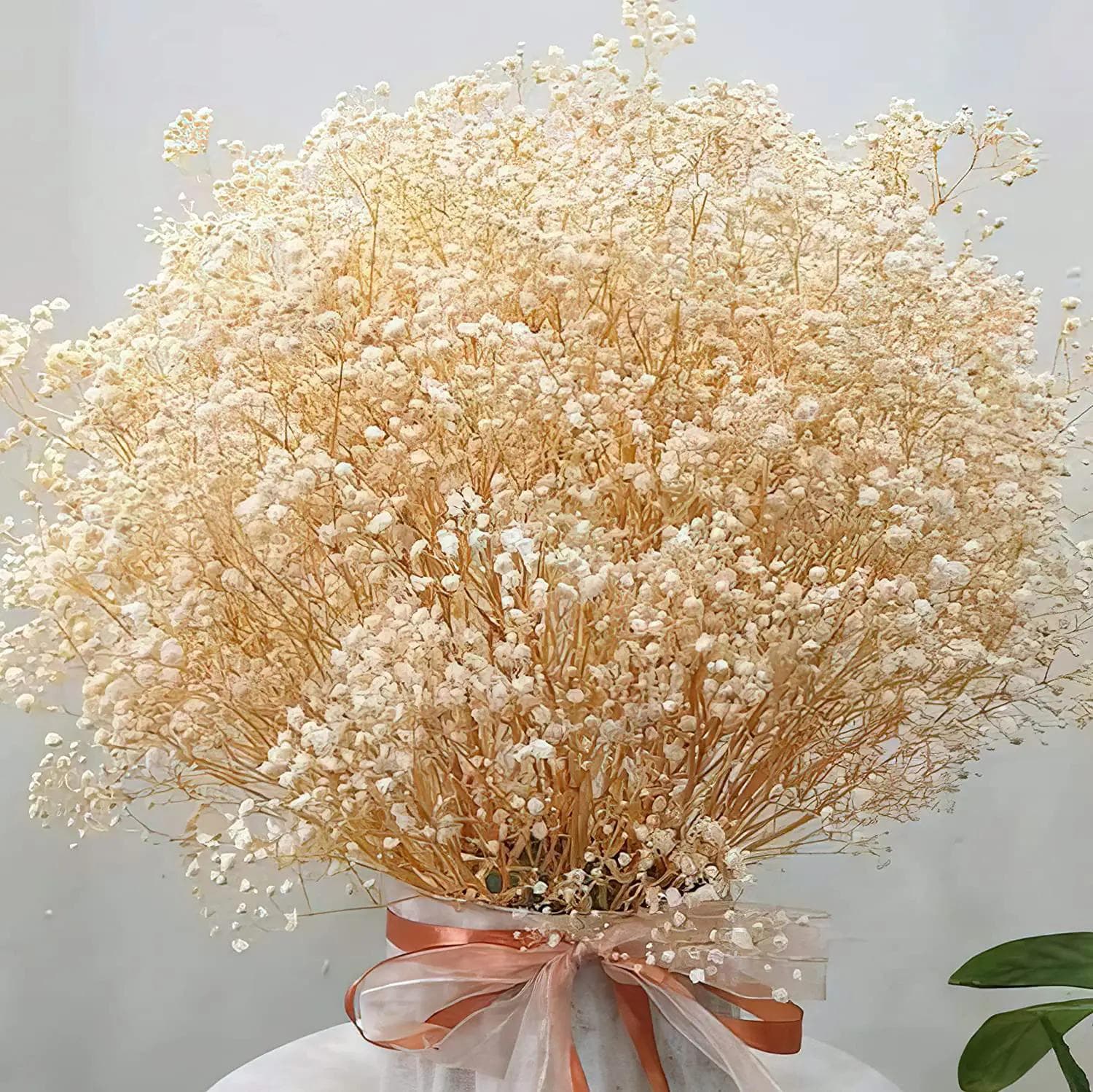 Gedroogde Bloemen Gipskruid Boeket Ivoor Wit Bloemen Natuurlijke Gipskruid Takken voor Huisdecoratie Bruiloft Bloemen Bulk voor Vaas koffie