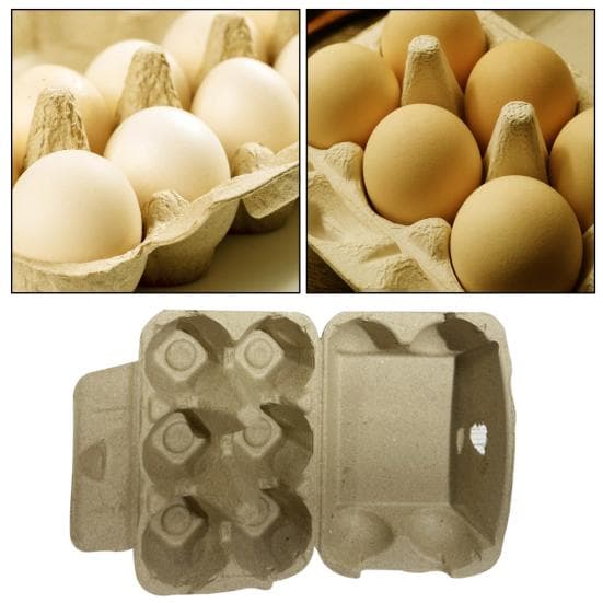 Verpakking Eierdozen Papierpulp 6 stuks Eierdozen Bulk Herbruikbaar Recyclebaar geel