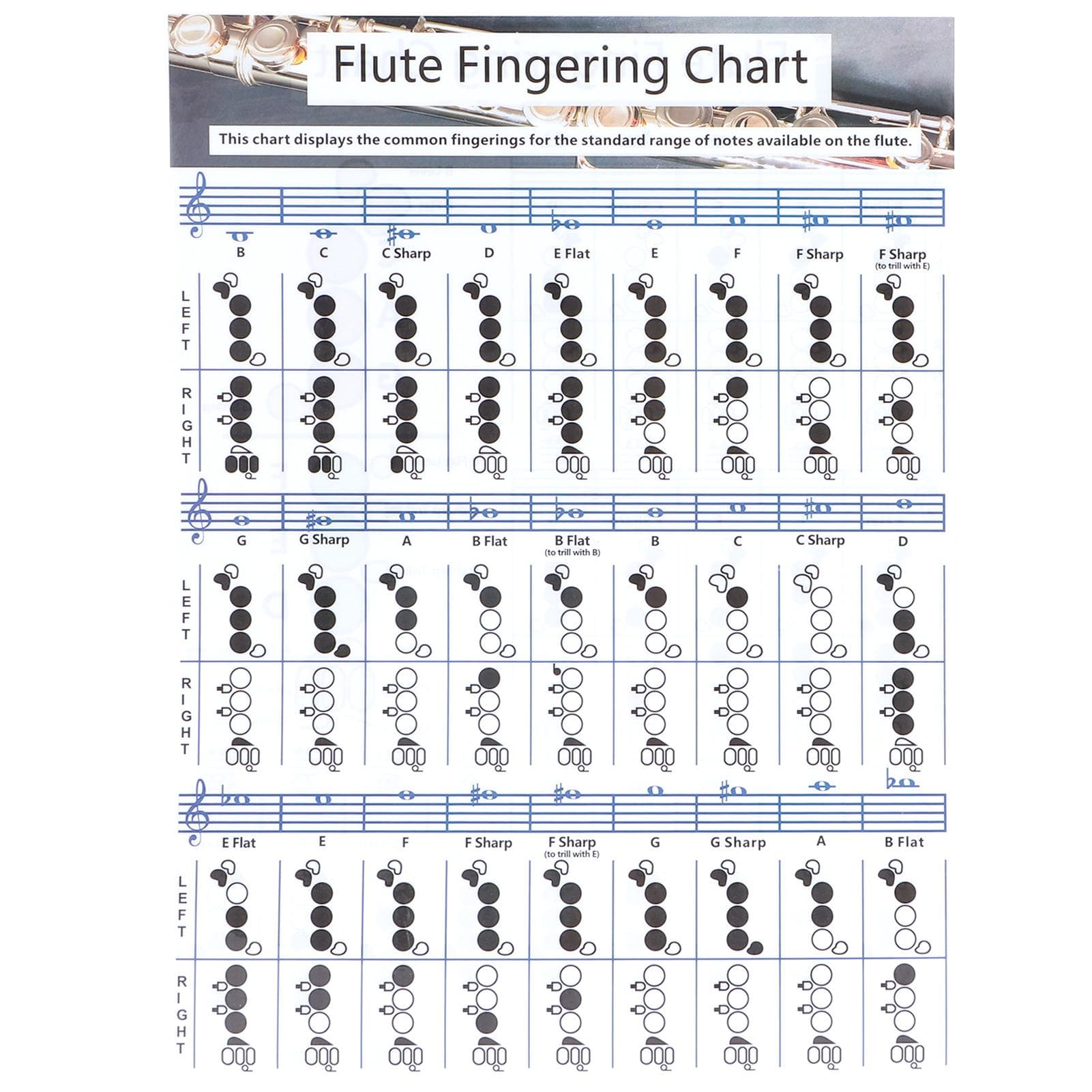 Fluit Vingerzetting Akkoorddiagram Beginner Student Oefening Lesmateriaal Instrument