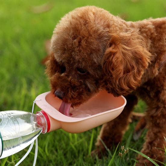 Flesdop Huisdier Waterbak Draagbare Hond Waterbak Reis Drinkbak met Lanyard voor Honden En Katten Kamperen blauw