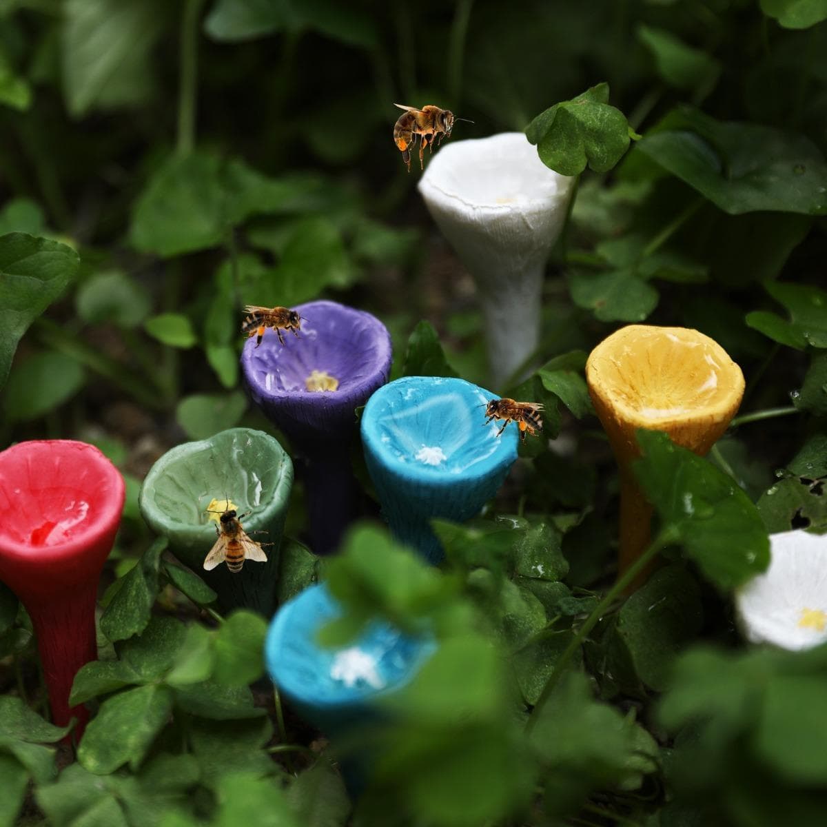 Bekerbakjes voor Tuin, Bijenwaterstation, Bijenbekers Water voor Bijen Tuin, Drinkbeker voor Bijen, Kleurrijk Mini Drinkbakje voor Tuin Veranda's veel