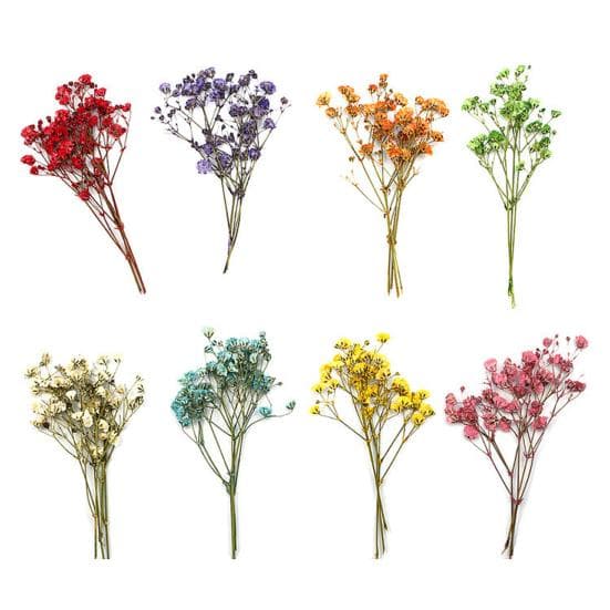 12 stuks gedroogde bloemenboeketten Levendige, langdurige, eeuwigdurende, prachtige gedroogde gipskruid bruidsboeket voor thuis oranje