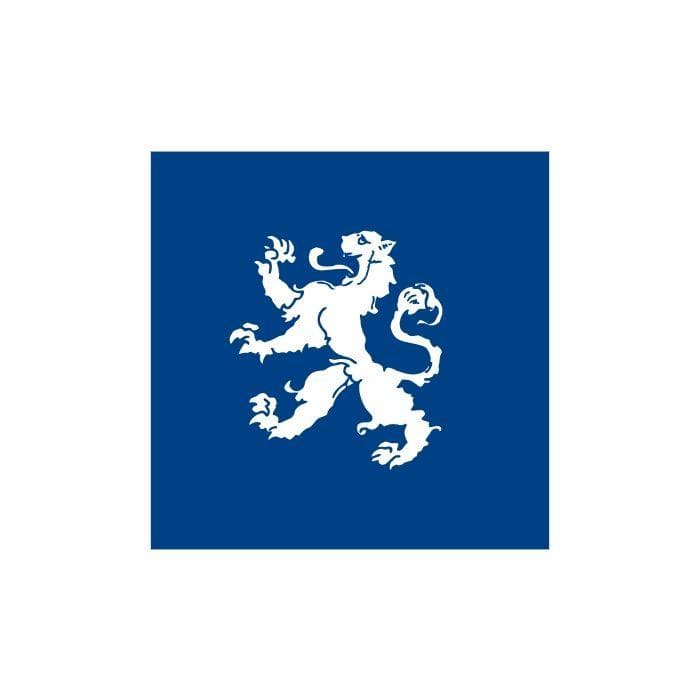 Gemeente vlag - Heemskerk