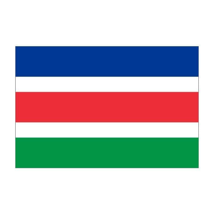 Gemeente vlag - Laarbeek