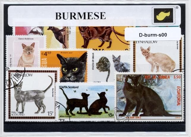 front - burmese